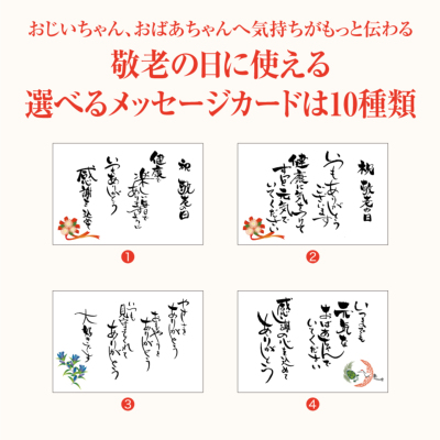 遠藤 PREMIUM FLOWER プレミアムフラワー 純米大吟醸 720ml